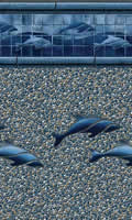 Dolphin Seabrook